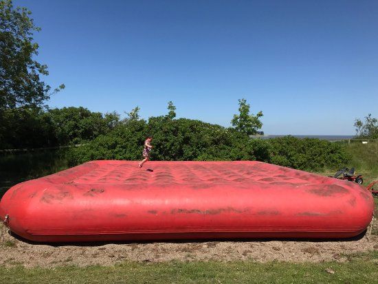 Rømø Lege Og Hesteland