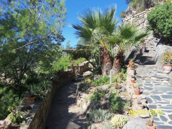 Jardin Méditerranéen