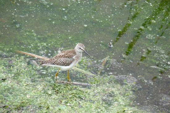 Saskatoon Island Provincial Park