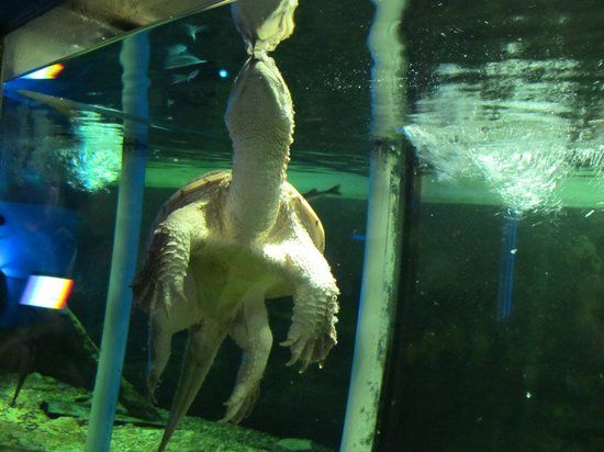 Quebec Biodiversity Center