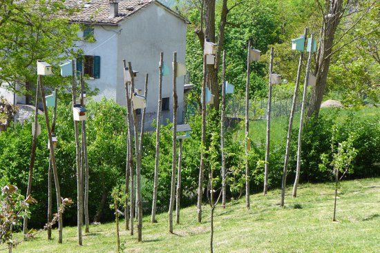 Orto dei Frutti Dimenticati