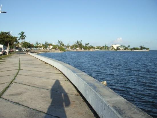 Santuario del Manatí