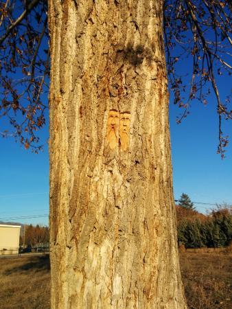 McArthur Island Park