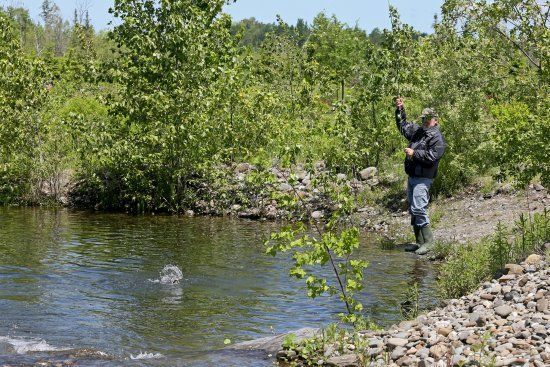 Parc Decouverte Nature