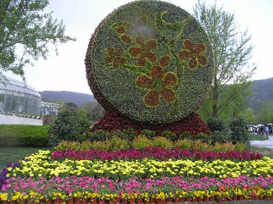 China Medicinal Botanical Garden