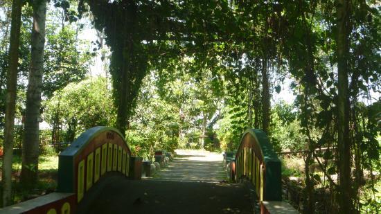 Sukorambi Botanical Garden