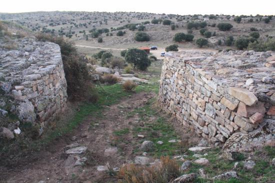 Castro de Las Cogotas