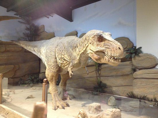 Fossil World Discovery Center