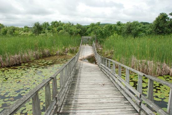 Wye Marsh Wildlife Centre