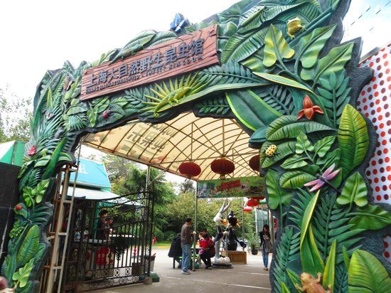 Natural Wild-insect Kingdom