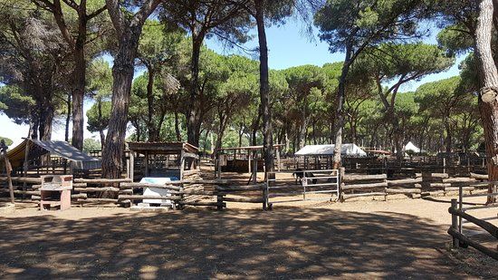 Fattoria degli Animali