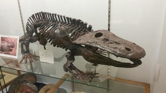 Paleontology Museum