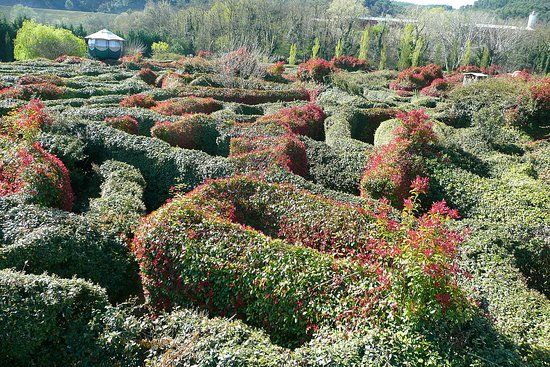 Labyrinthes Geants La Roque d'Anthéron