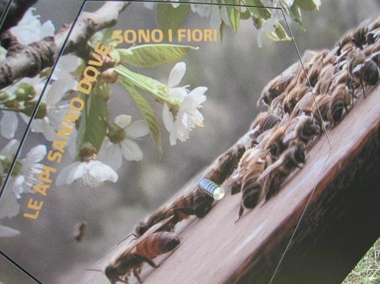 Parco delle api e del miele