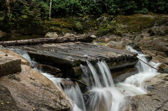 Chapman Creek Hatchery and Nature Destination