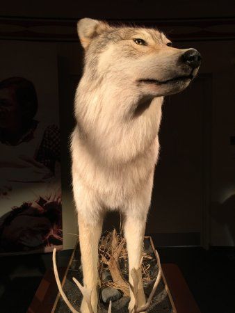 Musée Régional de la Côte-Nord