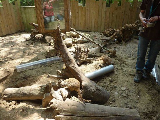 Zoo Parc de Cheptainville