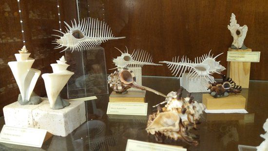 Casa Museo Matteo Sercia