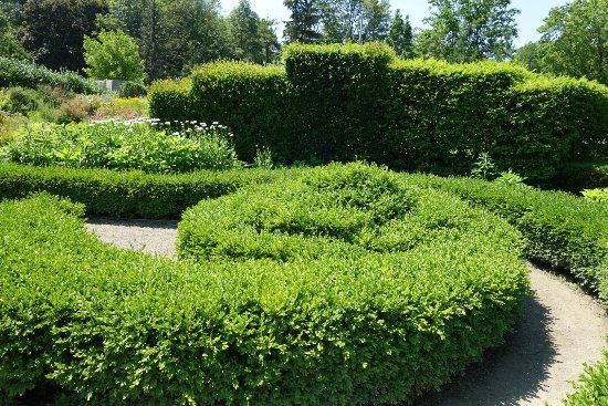Jardín botánico de Toronto