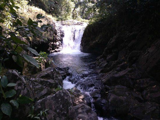 Reserva Ecologica La Otra Opcion