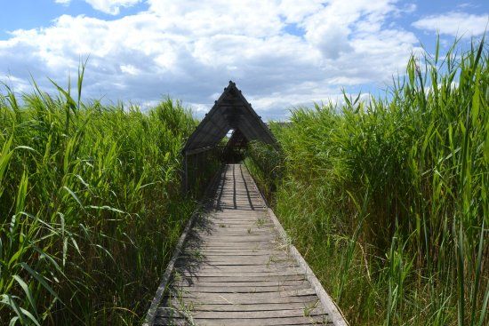 Réserve Naturelle des Marais du Vigueirat