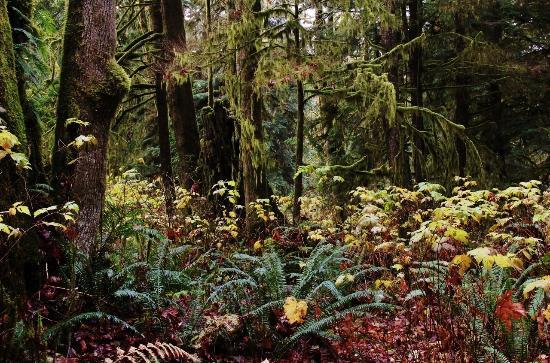Marble River Provincial Park