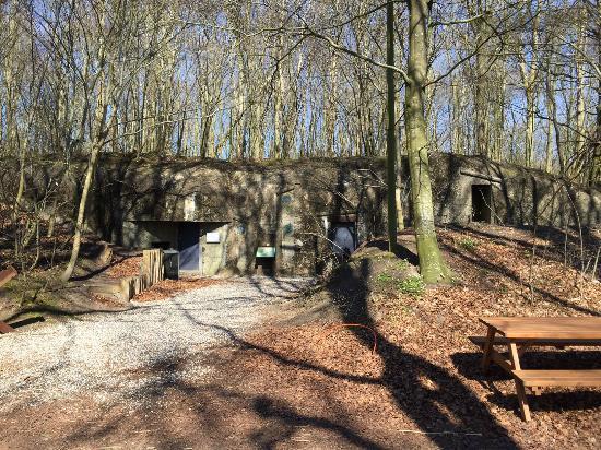 Skanderborg Museumsbunkerne