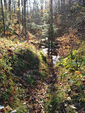 Pretty River Valley Provincial Park