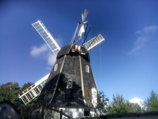 Vester Mariendal Molle