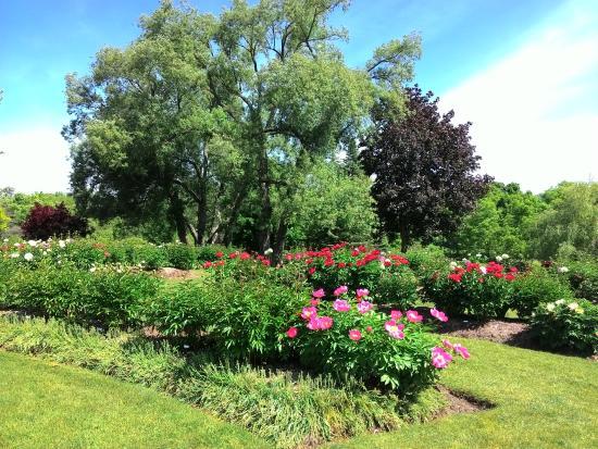 The Oshawa Valley Botanical Gardens