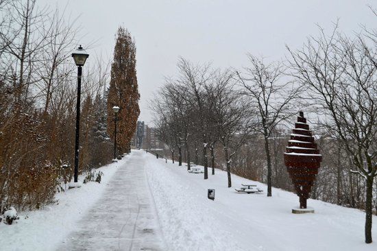 Cambridge Sculpture Garden