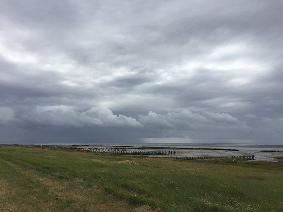 Naturudstilling Mandø