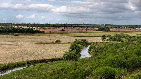 Gelsådalen & Stensbæk Plantage