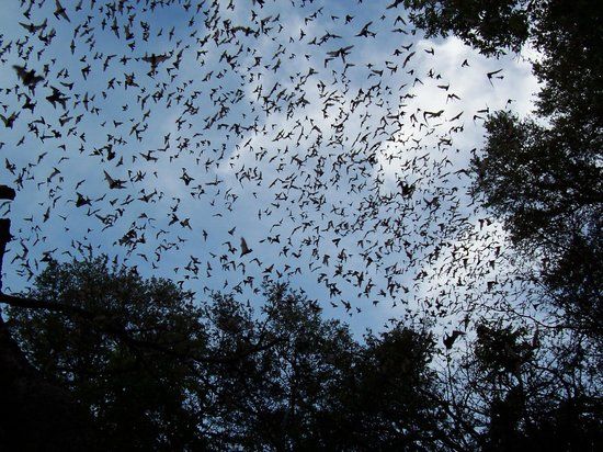 Old Tunnel State Park