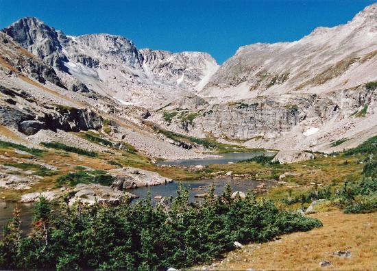 Wild Basin Area
