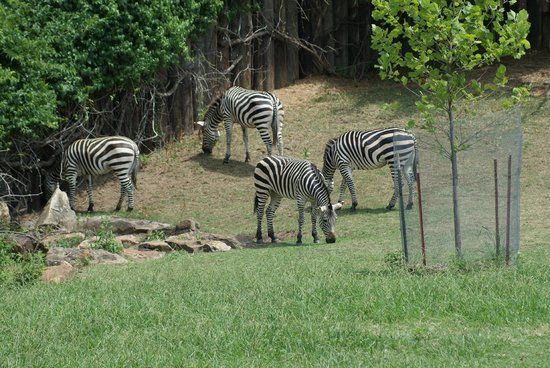 Tulsa Zoo