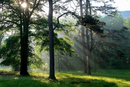Reflection Riding Arboretum and Botanical Garden
