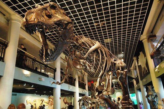 The Academy of Natural Sciences of Drexel University