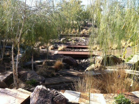 Scottsdale Xeriscape Garden