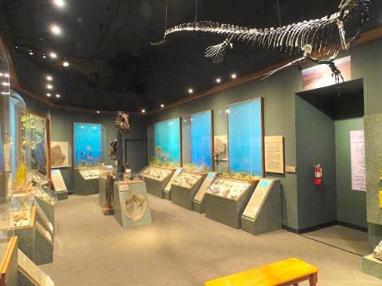 McClung Museum of Natural History and Culture