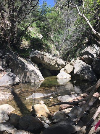 Arroyo Hondo Preserve