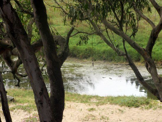 Moore Creek Wildlife Preserve