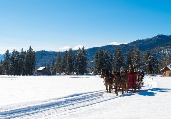 Mountain Springs Lodge Sleigh Rides