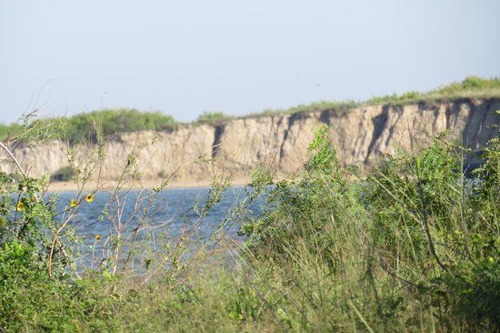 Port Aransas Nature Preserve