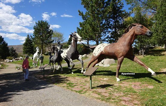 Free Spirits at Noisy Water