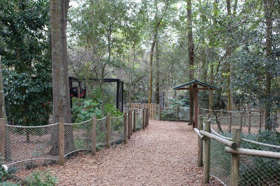 Santa Fe College Teaching Zoo