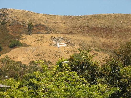 California Polytechnic University