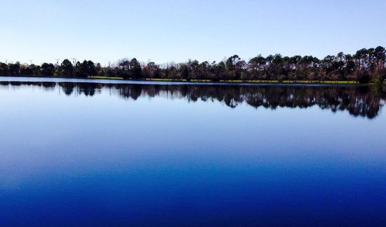 Grassy Waters Naturreservat