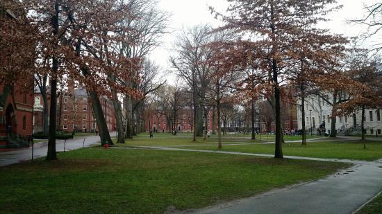 Harvard University Herbaria