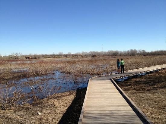 I-20 Wildlife Preserve